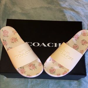 Coach Slides